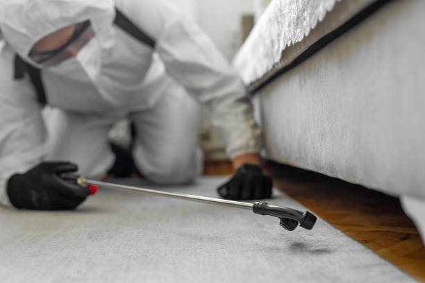 Professional Ant Control technician working in Manhasset Hills, NY